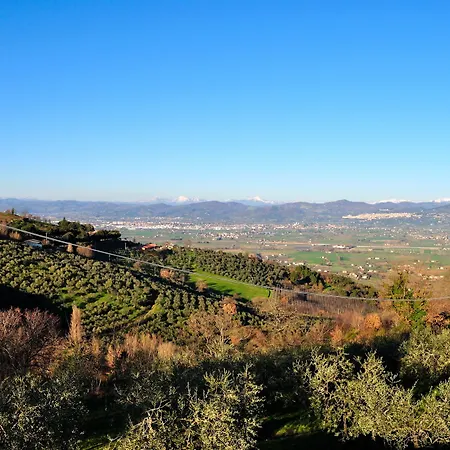 Phi Hortensis Hotel Cannara