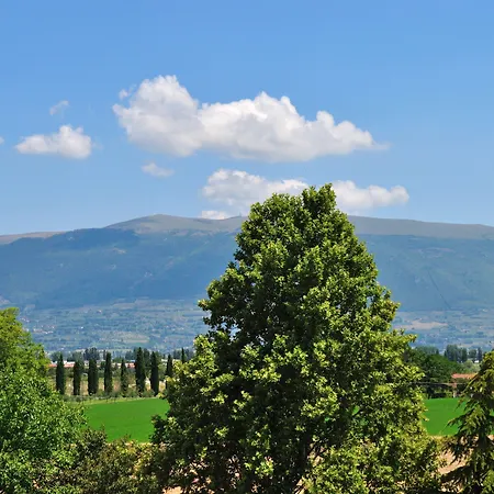 Hotel Phi Hortensis 3*